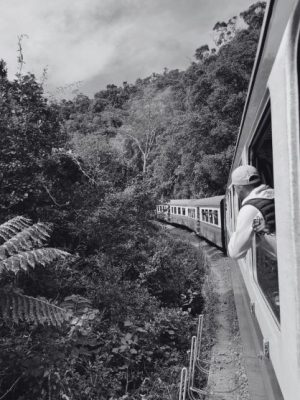 train-fce